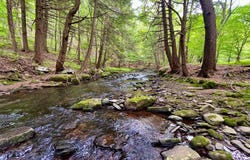 WP0  Benton Hollow Rd., Livingston Manor, NY 12758