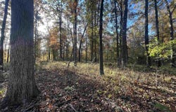 Sulpher Springs rd, Pine Bluff, AR 71603