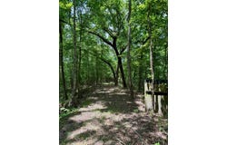 55 County Road 163, Carrollton, MS 38917
