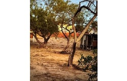 1080 Progreso, Eagle Pass, TX 78885