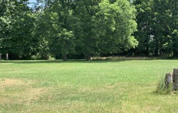 Lizzie Avenue, Hesperia, MI 49421