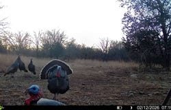 Bronco Rd, Peru, KS 67360