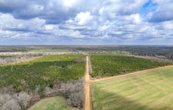 0 Highland Rd, Slocomb, AL 36375