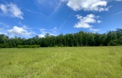 1069 N Salt Road, Monticello, FL 32344