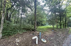 3.9 Acres County Road 212, Collinsville, AL 35961