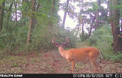 8972 College Avenue, Jackson, MI 49201