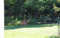 N13060 Powers Road, Ironwood, MI 49938