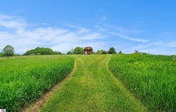 1136 W Simpson Road, Mancelona, MI 49659-8620