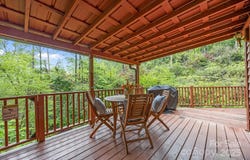 5838 Bearwallow Mountain Road, Gerton, NC 28735