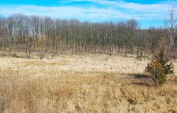 7160  Beecher Rd, Osseo, MI 49266