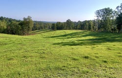 910 County Road 79 S, Eufaula, AL 36027