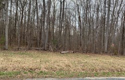BLACK BOTTOM ROAD, GALENA, MD 21635