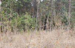 00 RICHMOND TURNPIKE, BOWLING GREEN, VA 22427