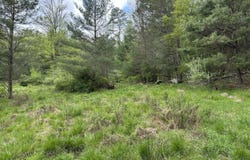 River Road 2, Damascus, PA 18415
