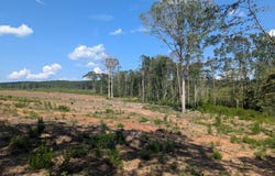 TBD CR 142 N, San Augustine, TX 75972