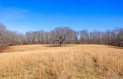 5880 BCR 803, Glen Allen, MO 63751