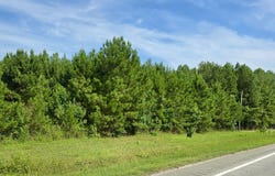Us 17 N lot: 3, Washington, NC 27889