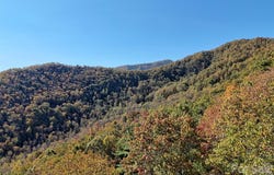 Mack Luke Road, Whittier, NC 28789