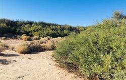 0 E Of Mesquite Avenue, 29 Palms, CA 92277