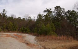 E 22nd Avenue, Phenix City, AL 36867