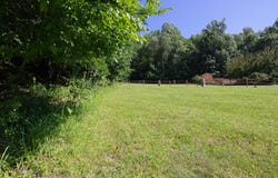 117 Buckner Drive, Roan Mountain, TN 37687