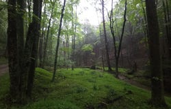 0 SPRIGGLE HOLLOW ROAD, ELLIOTTSBURG, PA 17024
