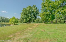 2680 EAGLE VIEW SPUR lot: 7, Holts Summit, MO 65043