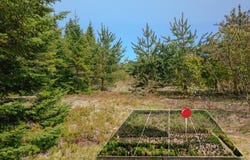 Lot 3 W Pendills Lake Road, Brimley, MI 49715