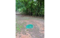 335 Pataula Heights Lane Lot 15, Fort Gaines, GA 39851