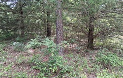 60453 River Lane, Hodgen, OK 74939