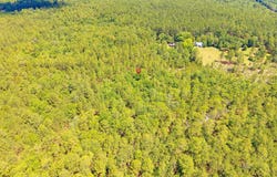974 A Highway 1 N, Cassatt, SC 29032