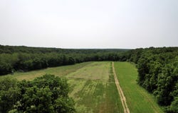 926 Summit Rd, Grovespring, MO 65662