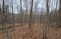 305 Clark Rd Rear, Sanford, NY 13754