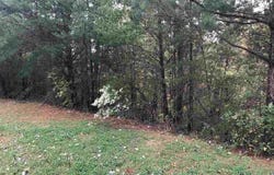 1437 PAVILLON DRIVE, HOOVER, AL 35226
