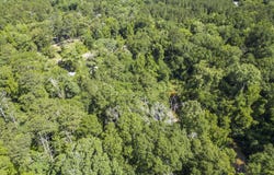 Dixie Avenue, Mendenhall, MS 39114