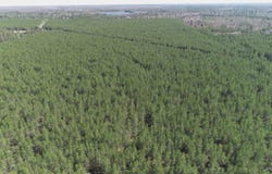 Parcel 5 Rice Lake, Gwinn, MI 49841