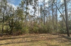 0 Woodland Drive, Abbeville, AL 36310