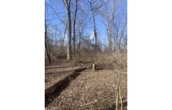 9350 Peach Ridge Avenue NW, Sparta, MI 49345