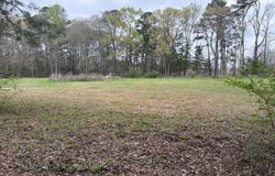 Stevens Dr., Marietta, TX 75566