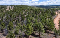 451 Chipeta Creek Trail, Florissant, CO 80816