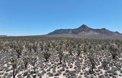 TBD Diamond Bar Road, Meadview, AZ 86444