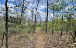 14240 Truelove Road, West Fork, AR 72774