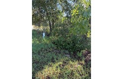 ALASKA Avenue, INTERLACHEN, FL 32148