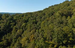 32.38 AC Panther Creek Road, Sneedville, TN 37869