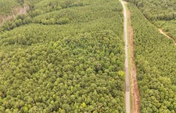 COUNTY ROAD 33 lot: 0, FRUITHURST, AL 36262