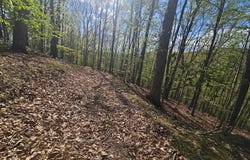 124 Porter Valley Road, Marion, VA 24354