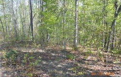 Tayberry Drive lot: 73, Nebo, NC 28761