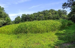 1704 POSEY HOLLOW, BERKELEY SPRINGS, WV 25411