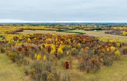 Tract I 175th Avenue, Park Rapids, MN 56470