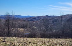L1 Lang Road, Summit, NY 12175
